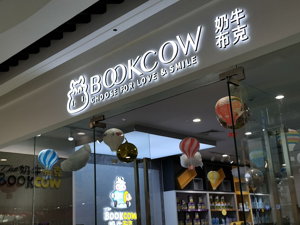 优化VGG-16模型用于奶牛个体识别：提升速度、精度与效率