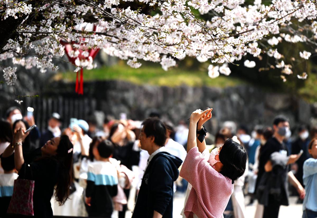 当地时间2026年3月29日,日本名古屋,民众在名古屋城尽