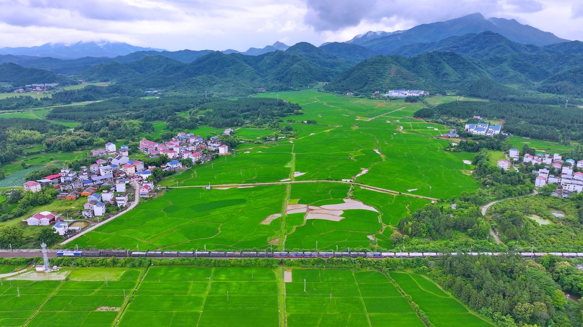 乡村振兴 国之大者