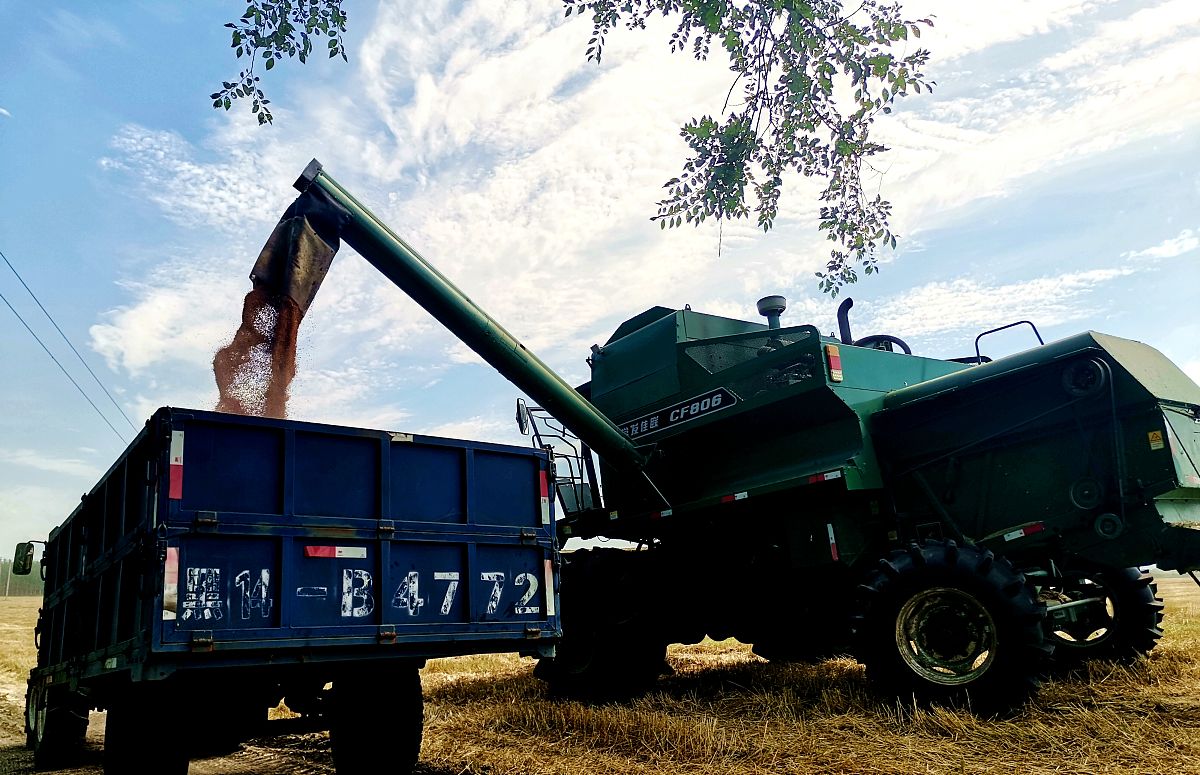 黑龙江农业经济职业学院健康管理专业怎么样？就业前景、实践教学、研究方向