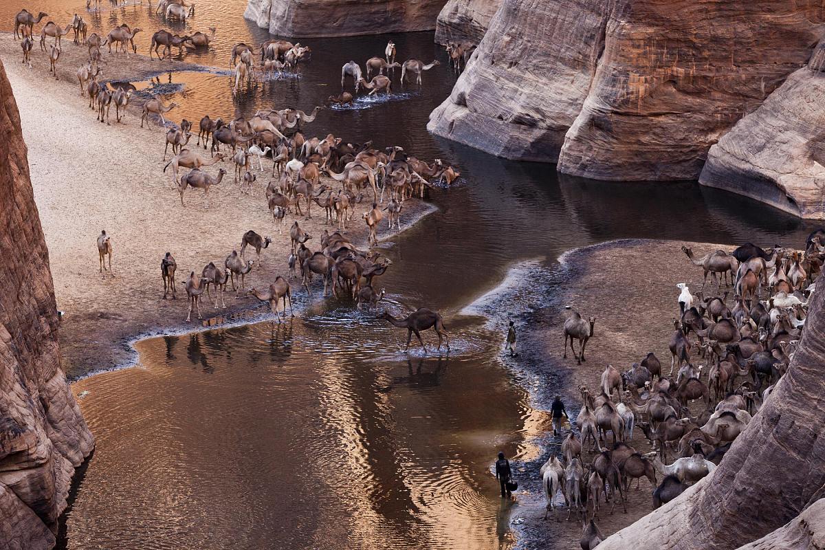 数世同堂是什么意思_词语数世同堂的意思