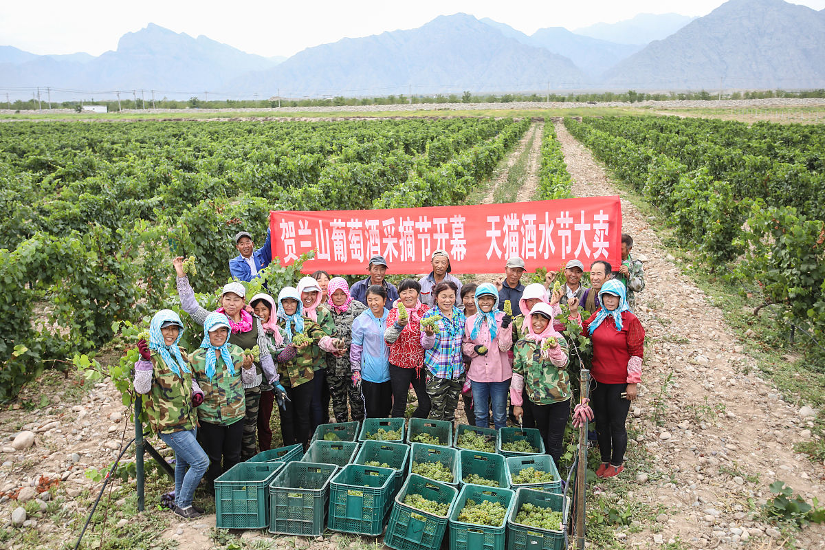 新媒体新员工转正演讲稿：我的成长与展望