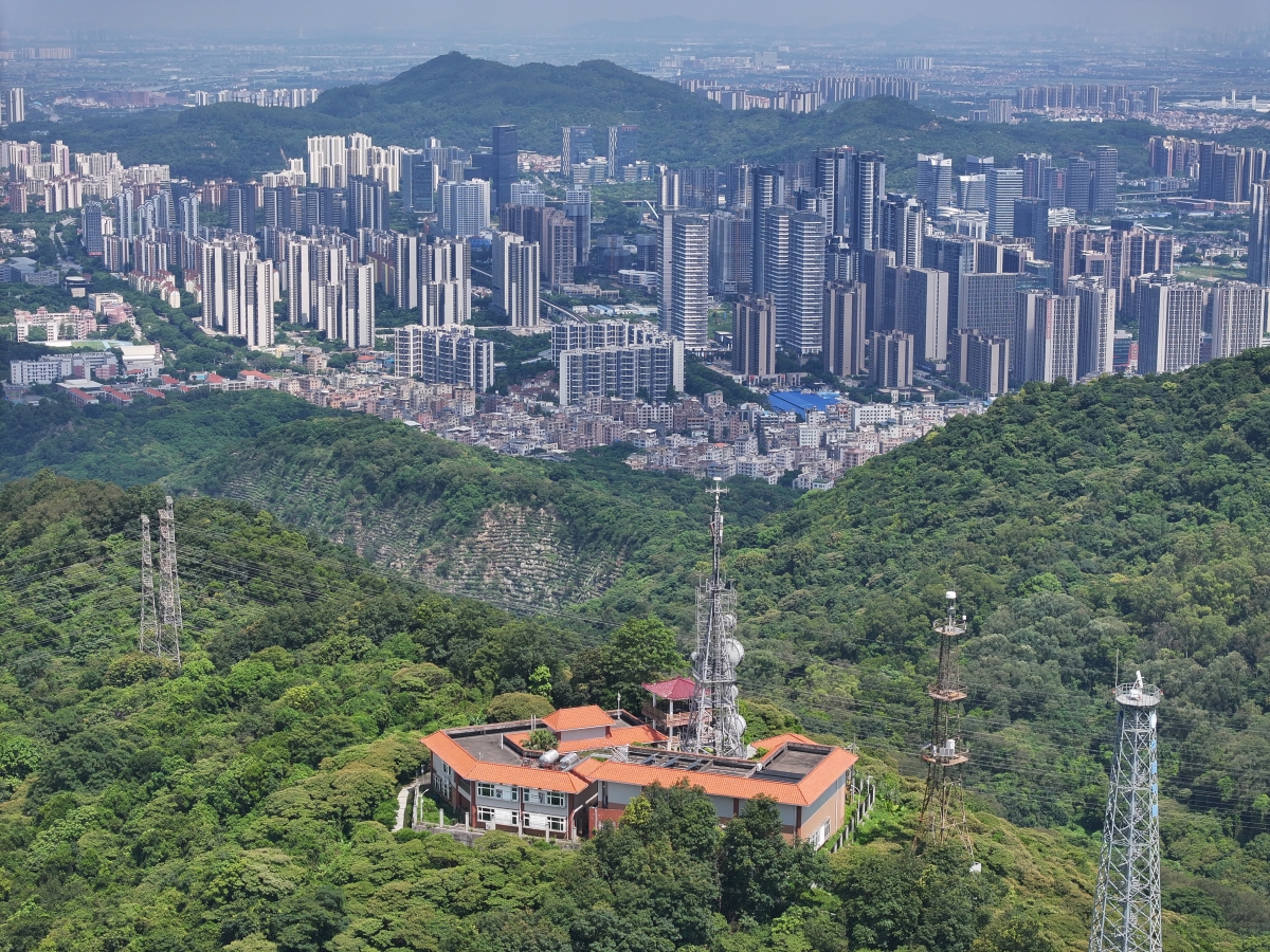 作为资深旅游博主,我首推广州的徒步之旅,穿梭在绿意盎然的羊城脉络中