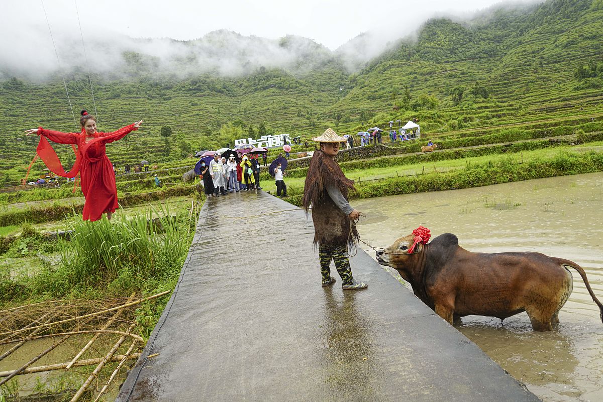 永嘉县职业中学2022年招生简章 - 报名时间/方式/流程