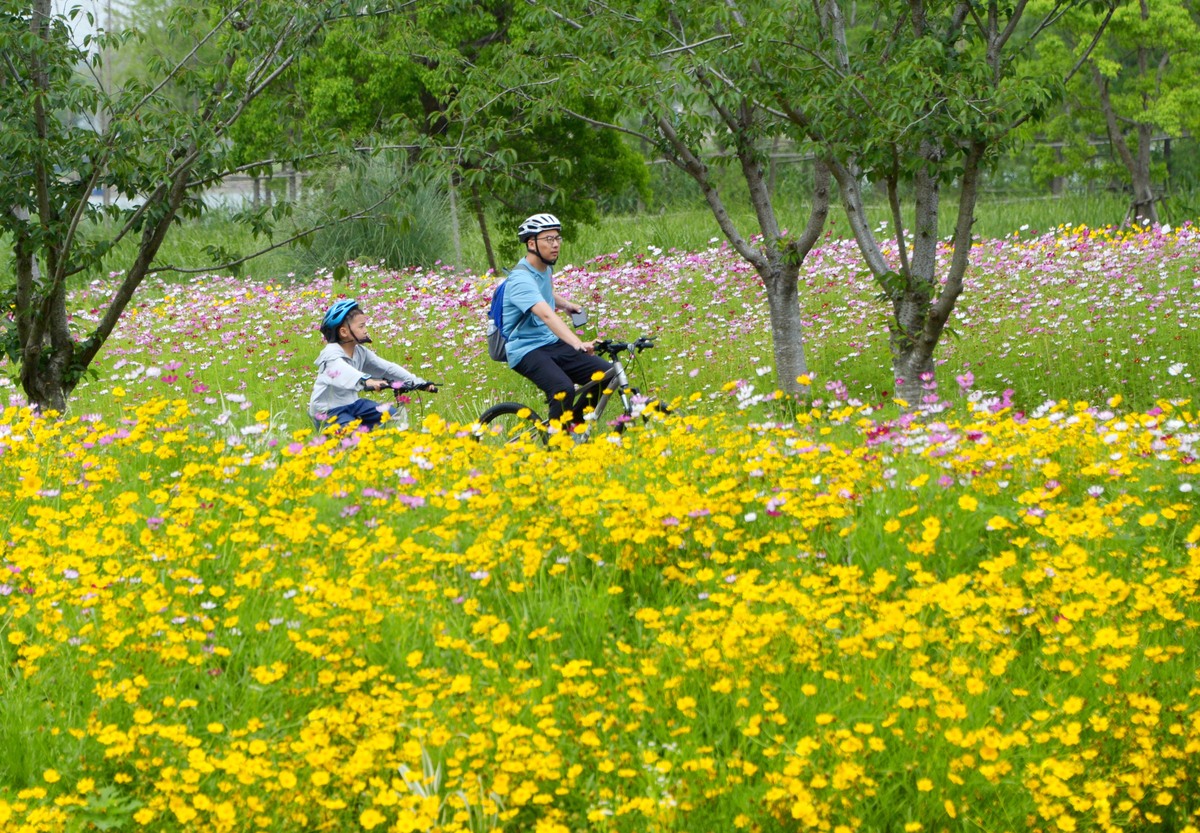 春日公园漫步，发现生活中的美好