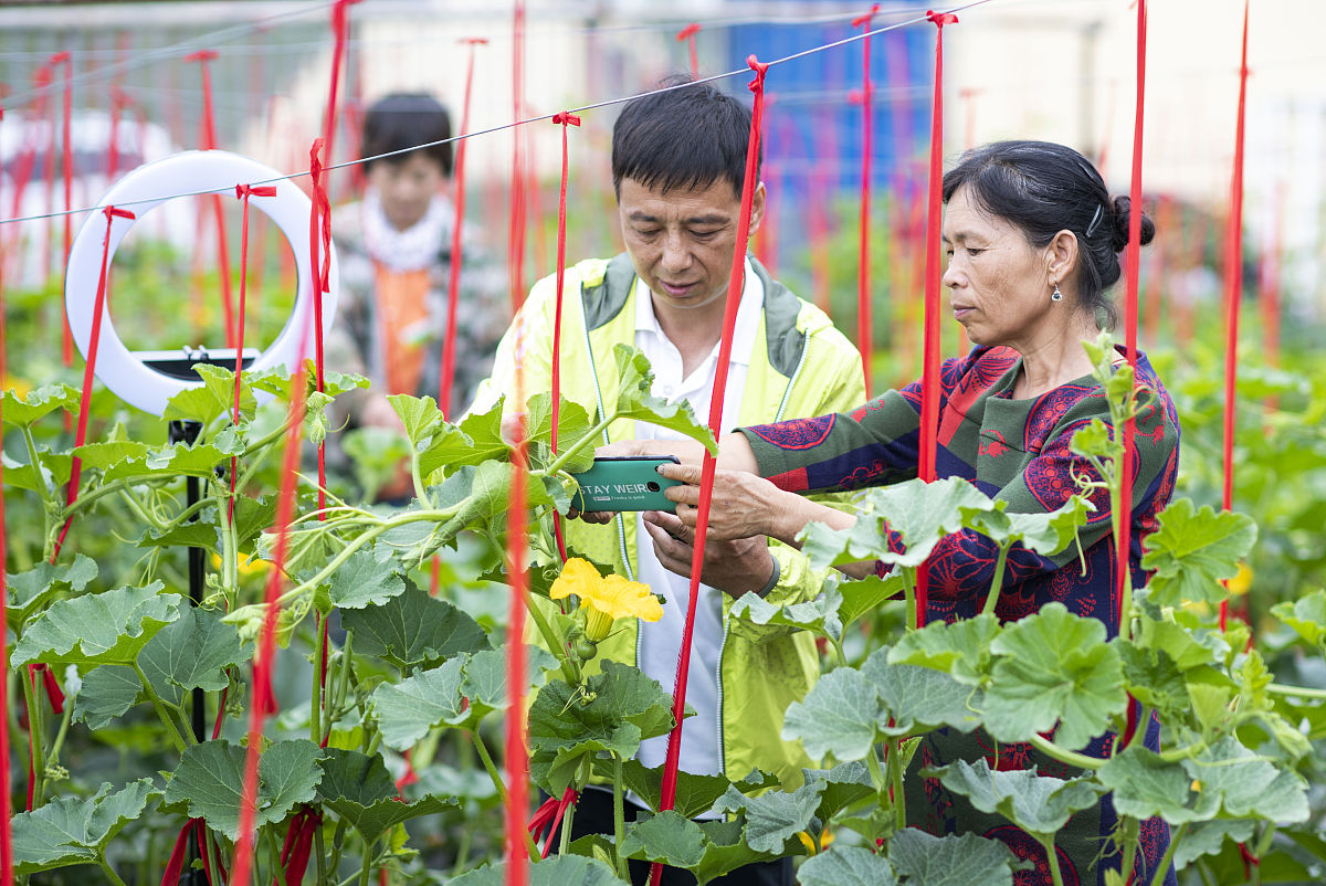 呼和浩特职业学院物流管理专业怎么样