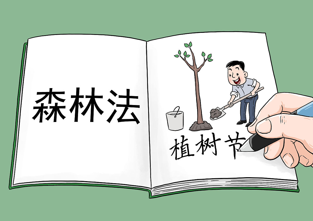 关于森林特许经营的政策法规详细政策条款有哪些