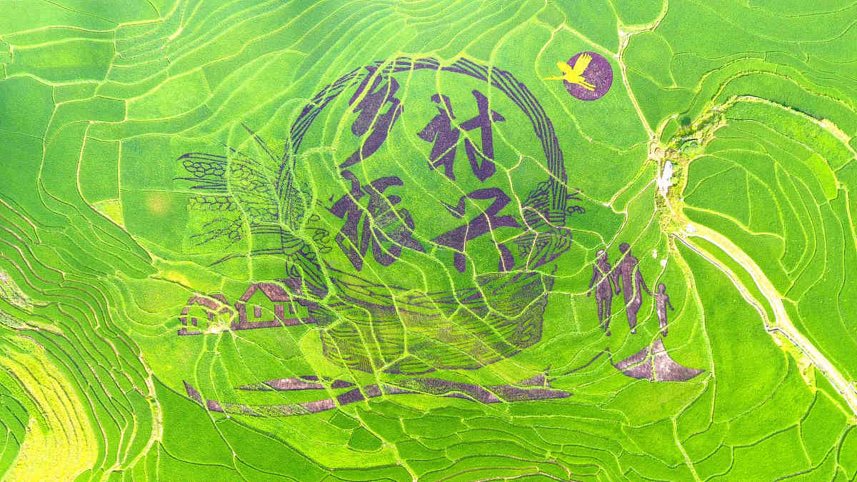 光影艺术赋能乡村振兴的教育引领怎么写