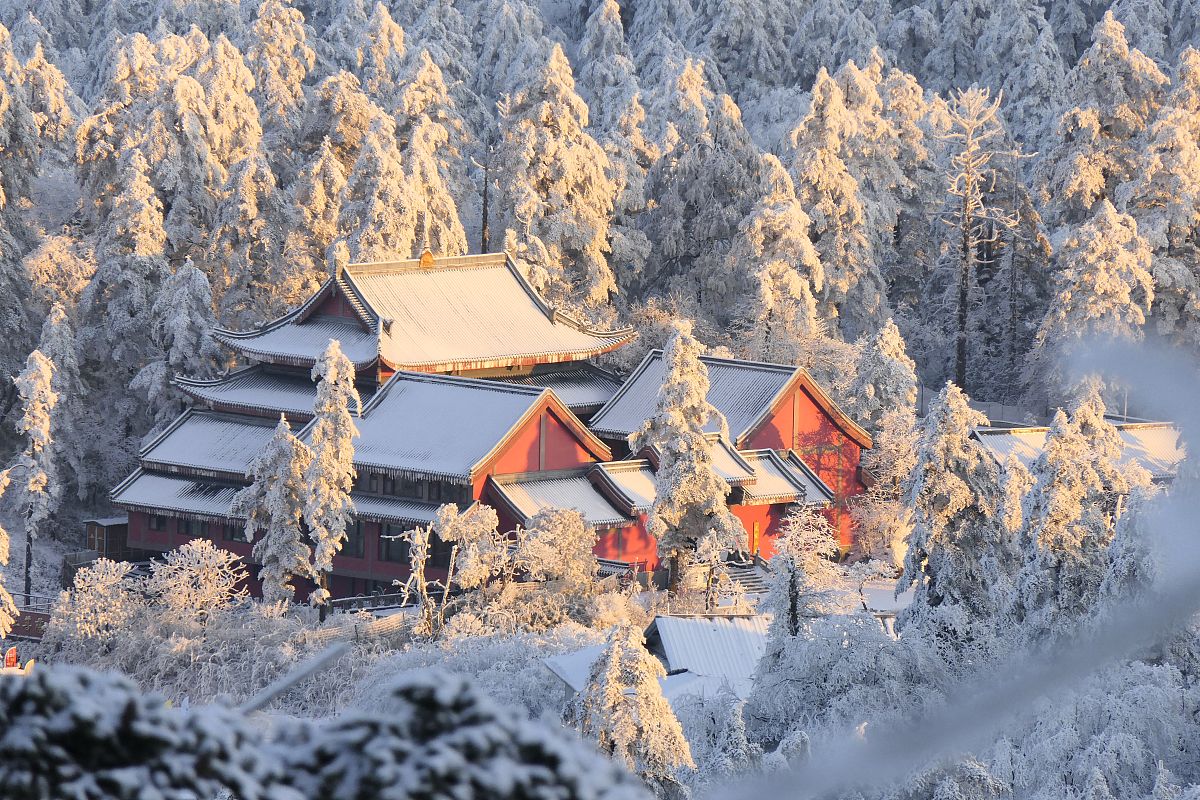 乐山市旅游学校2020年招生简章 - 培养旅游行业人才