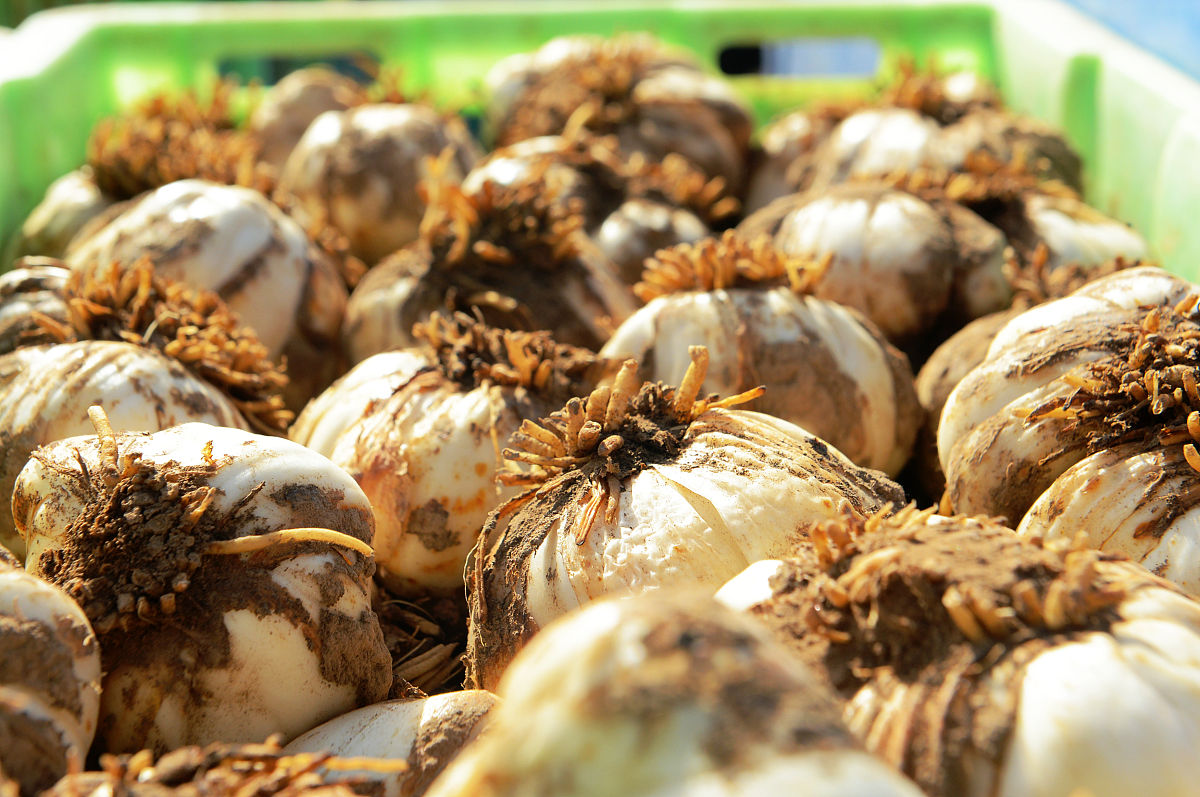 兰州文理学院地址在哪里