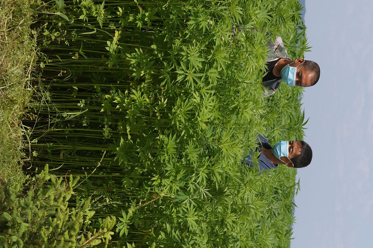 黑龙江省林业卫生学校招生条件