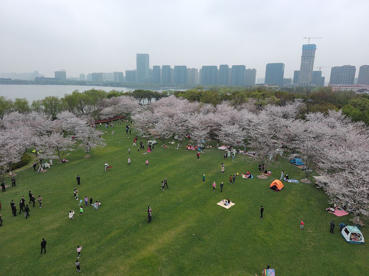浙江职高铁路学校推荐：杭州铁路职业技术学院、温州职业技术学院等