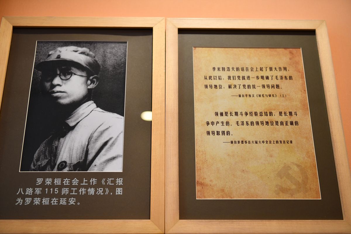 讲述关于作者施蛰存的小说《将军底头