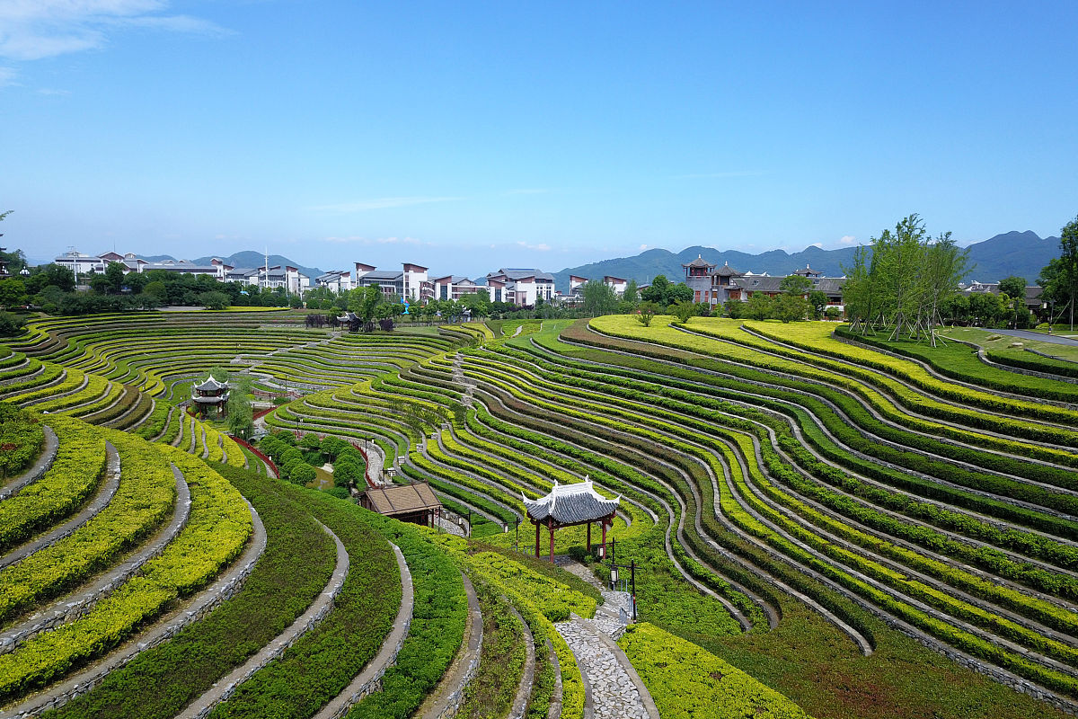 贵州航空工业技师学院贵州航空职业技术学院城市轨道交通运输与管理专业课程设置有哪些怎么样