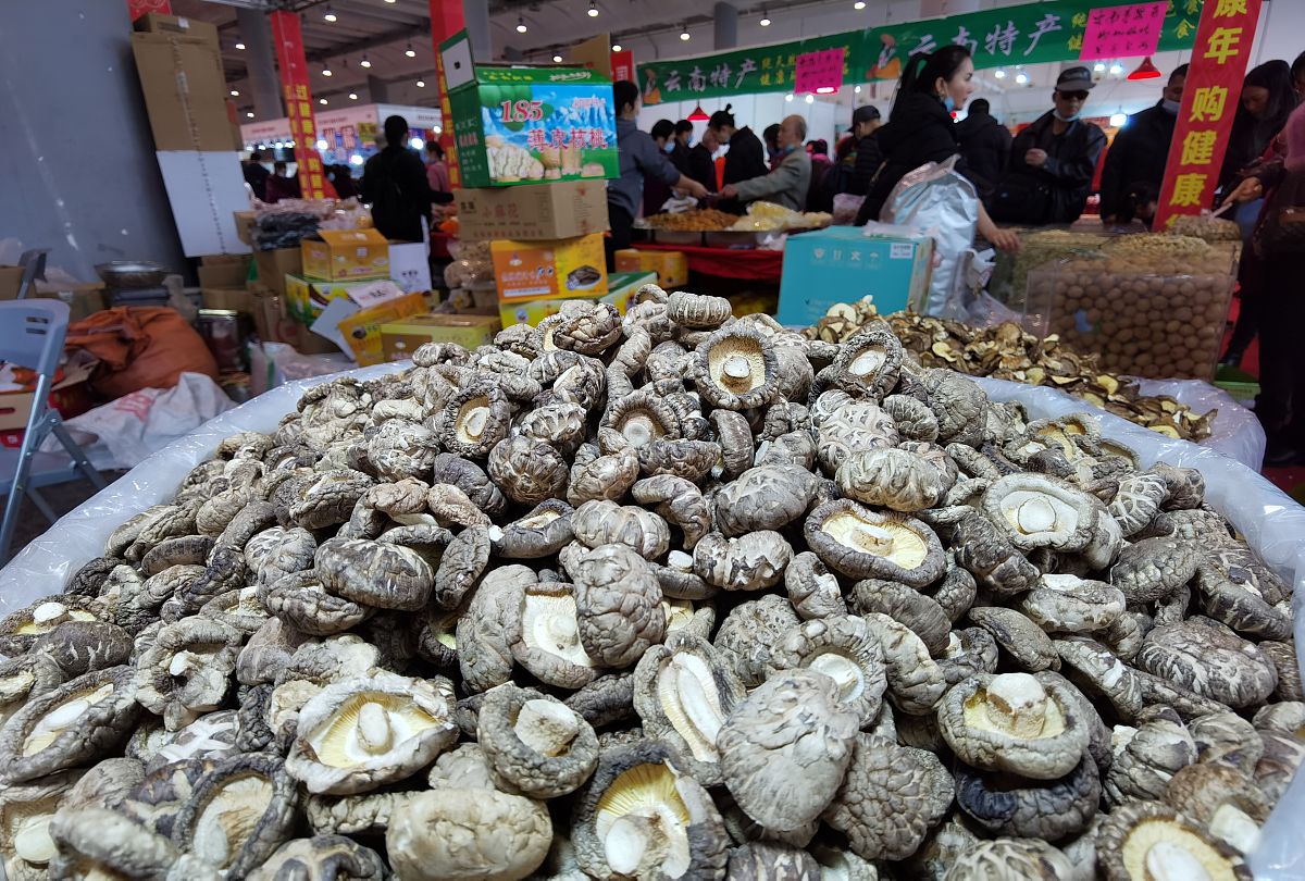 崇左市杏鲍菇的销售