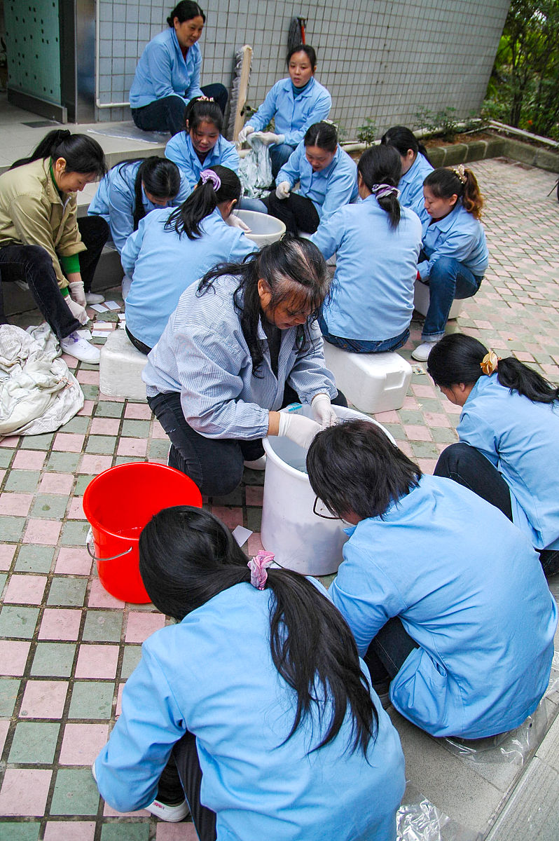 秦皇岛初中生学卫校：新趋势解读