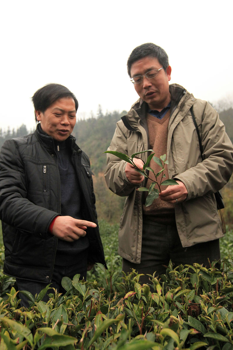 广西科技师范学院食品科学与工程专业就业前景分析
