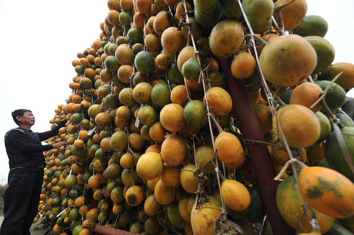 山西药科职业学院中药制药技术专业如何好学吗