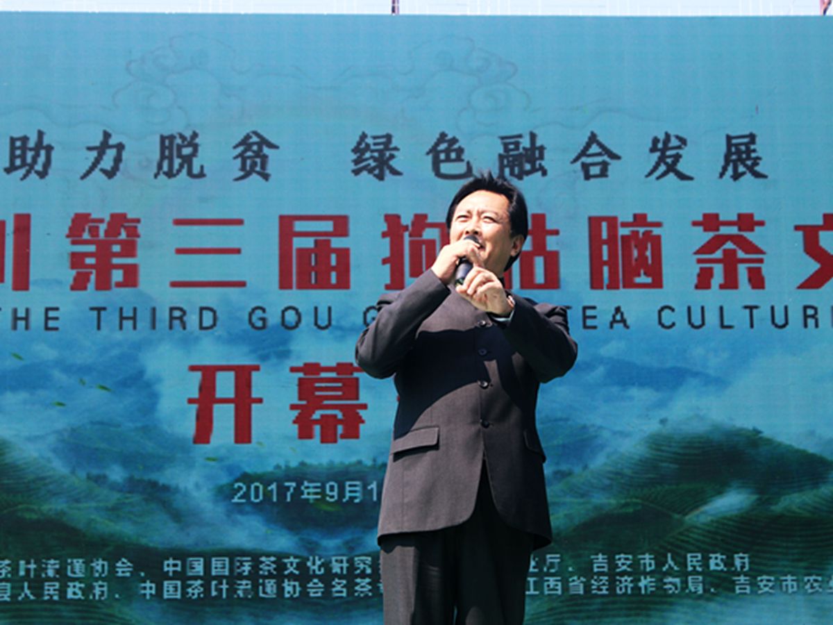 朗诵外景《绿叶的交响》穿衣指南：舒适与氛围的完美结合