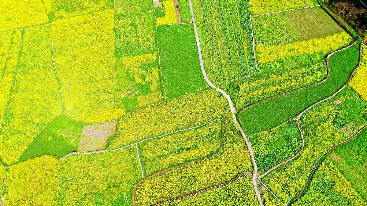 贵州人民医院护士学校2022年哪些专业招生