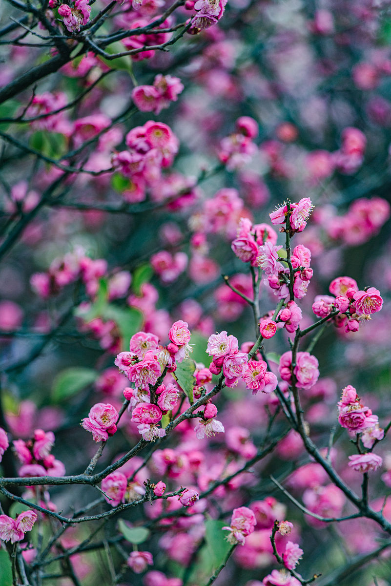 江西信息科技学校2022年招生简章