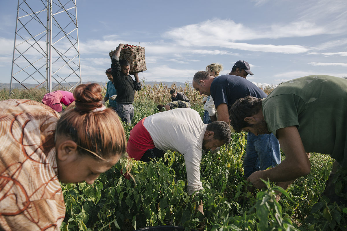 爆笑组名大揭秘！谐音梗“组”你笑翻天！