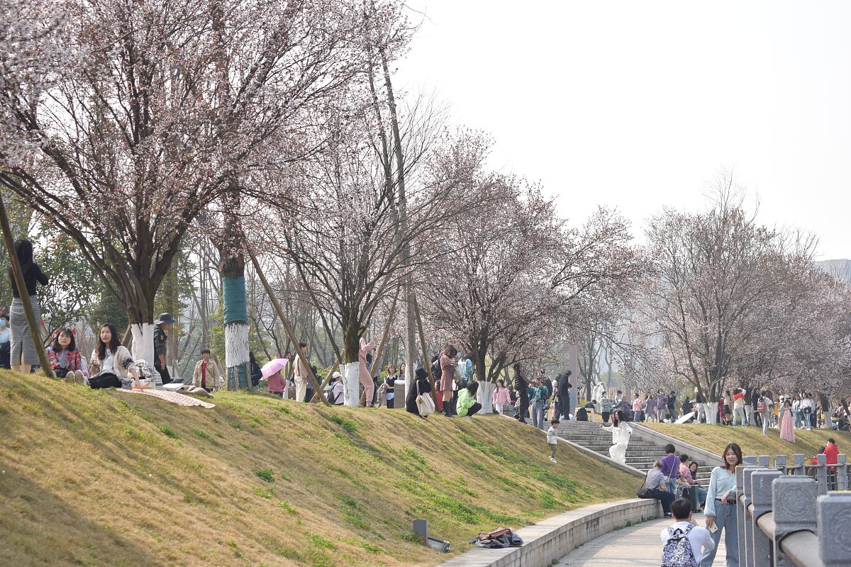 (如需下载使用,请务必署名红星新闻  郭聪丽,谢谢)2021年2月23日,成都