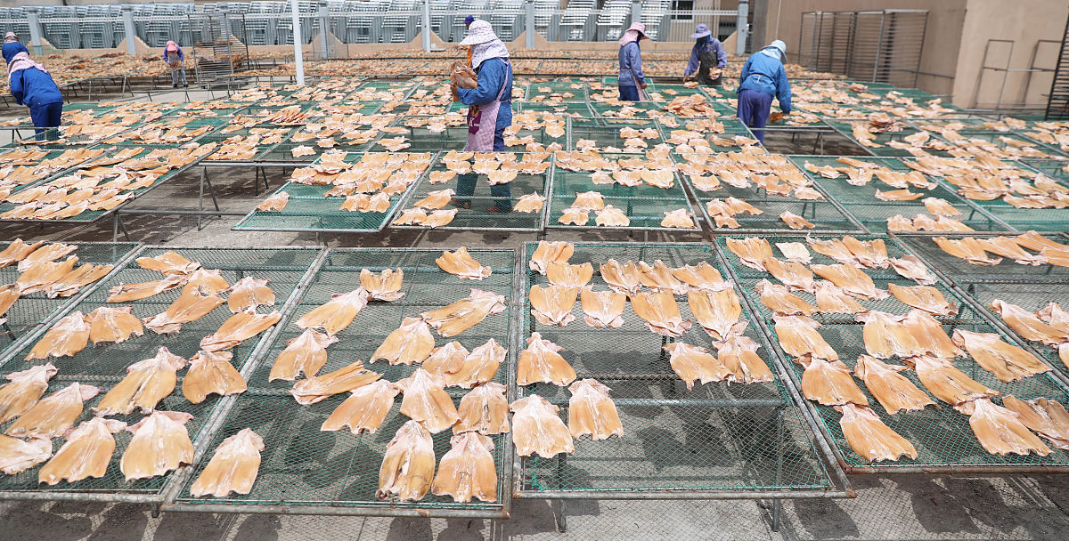 桂林市永福县城区农产品加工交易中心项目活禽区项目提出的理由和过程5000字