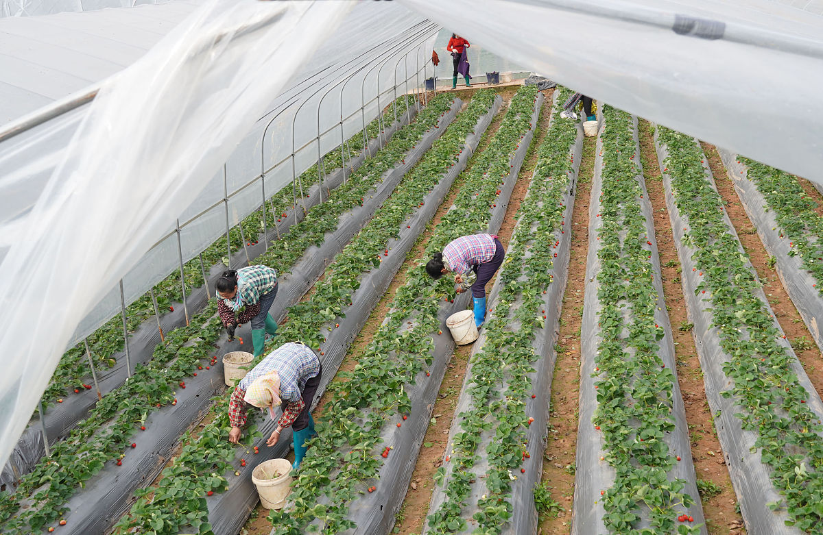 南宁卫生学校2023年招生简章-怎么样