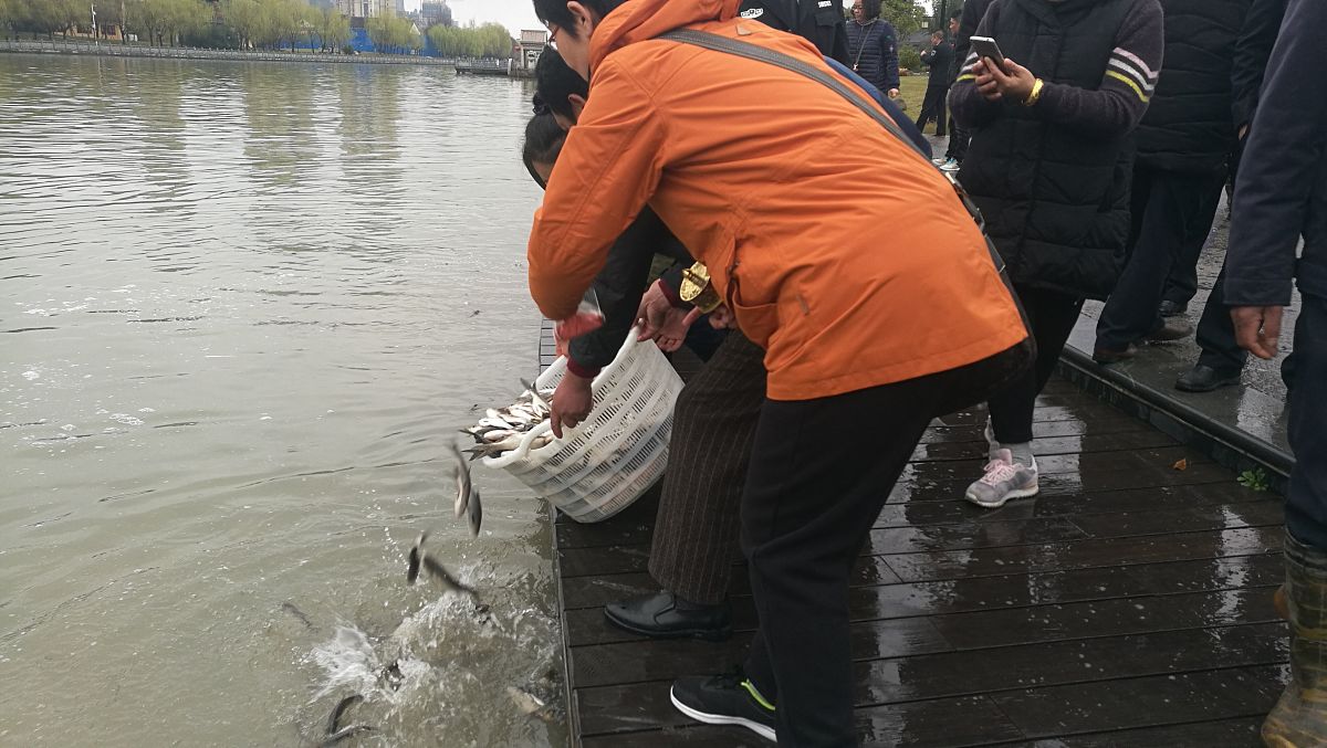 编写一段作为守湖员具体的实习经历写的再具体一些
