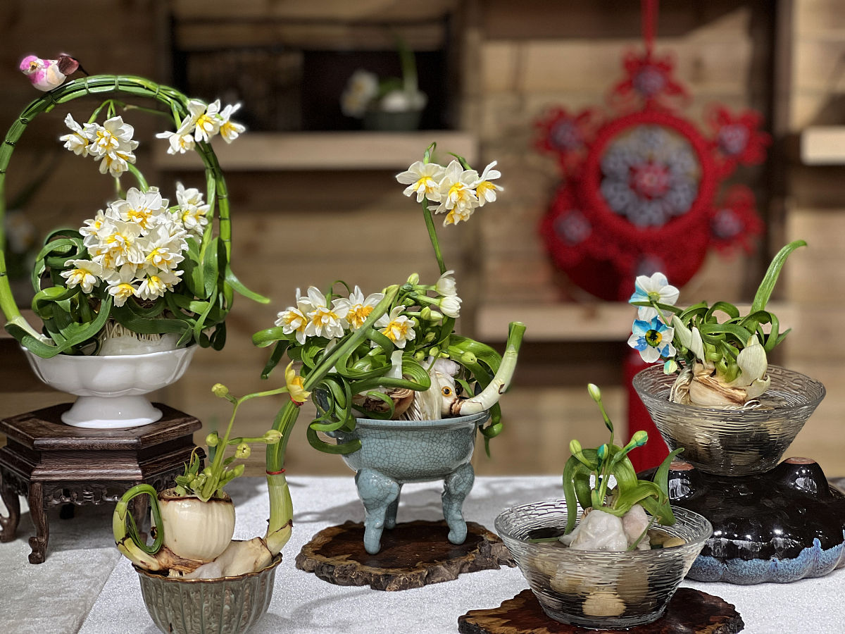 家居花艺设计，让你的家充满生机