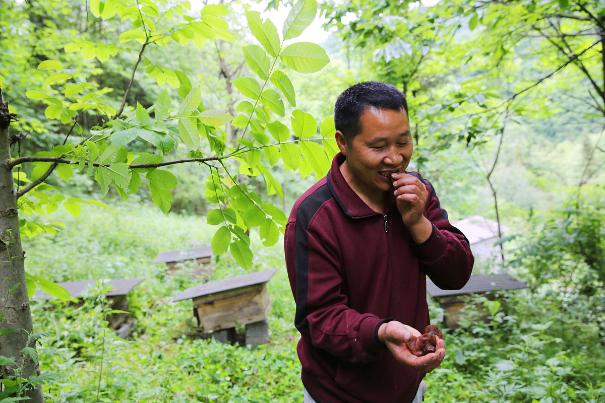 南京卫校招生分数线：300分能上吗？