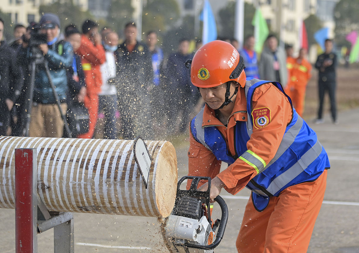 森林消防专业就业方向及前景分析 | 保护绿水青山