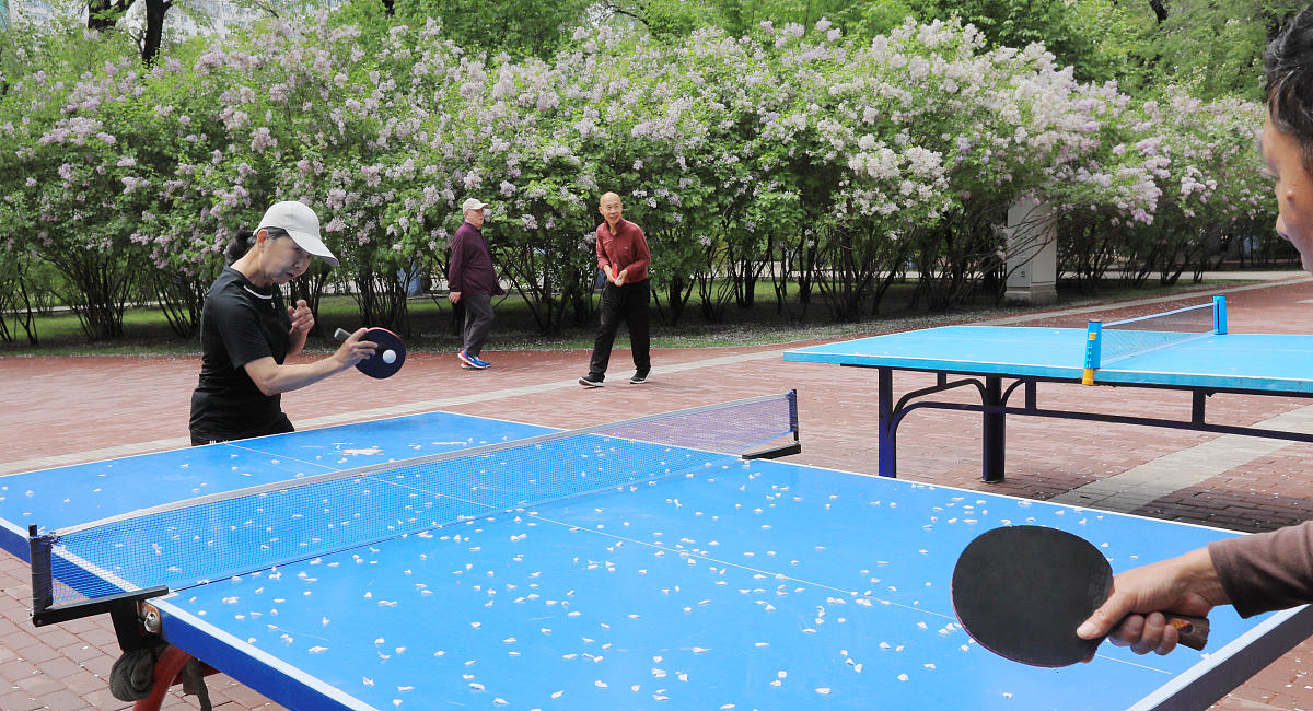 数字药球在乒乓球专项体能训练监控中的应用研究的摘要