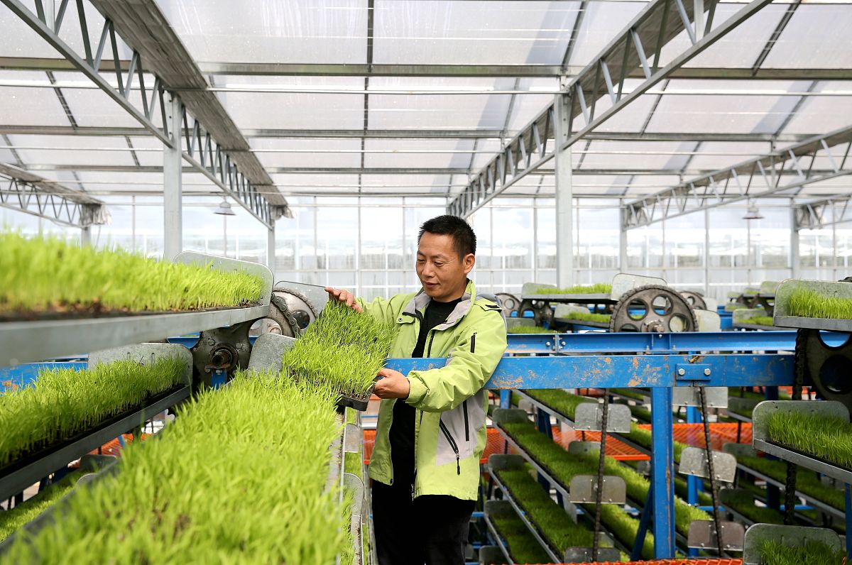 江西科技职业学院市场开发与营销专业怎么样