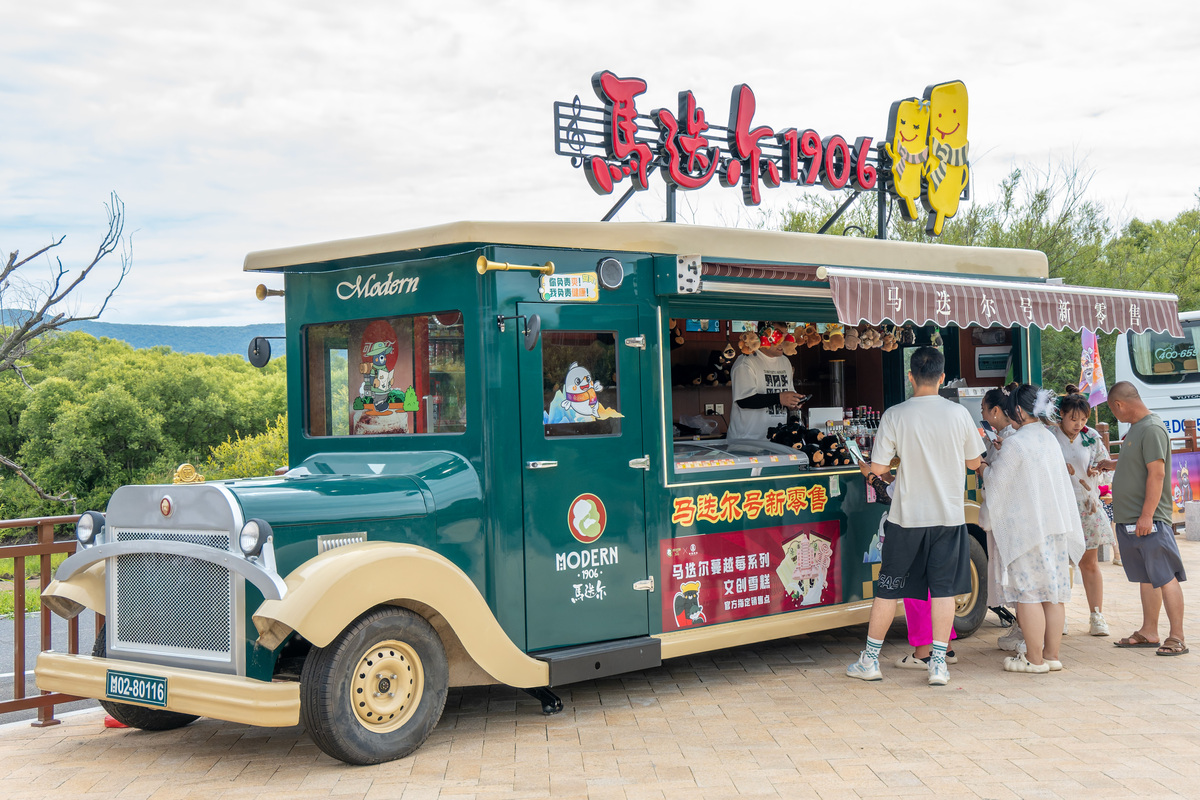 MINI冰淇淋车：时尚移动餐车，美味冰淇淋体验