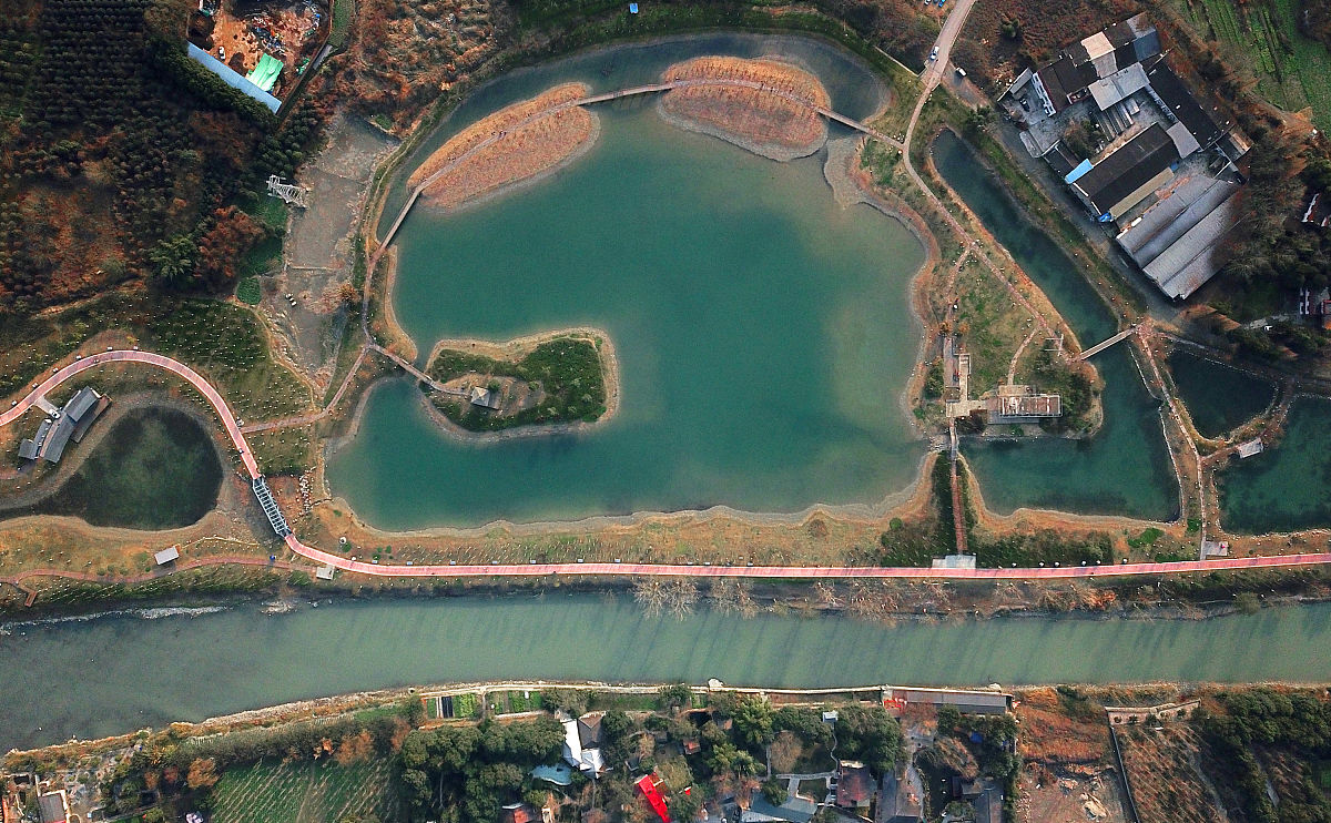2019年1月4日,成都,郫都区徐堰河汉姜湿地.(如下载使用,请务必署名红