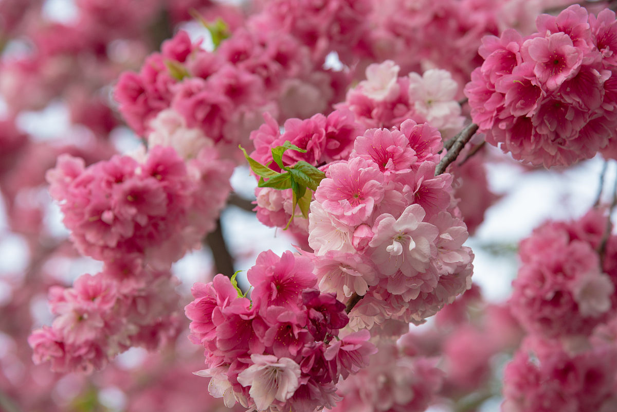 昆明2022年卫校好还是大专好