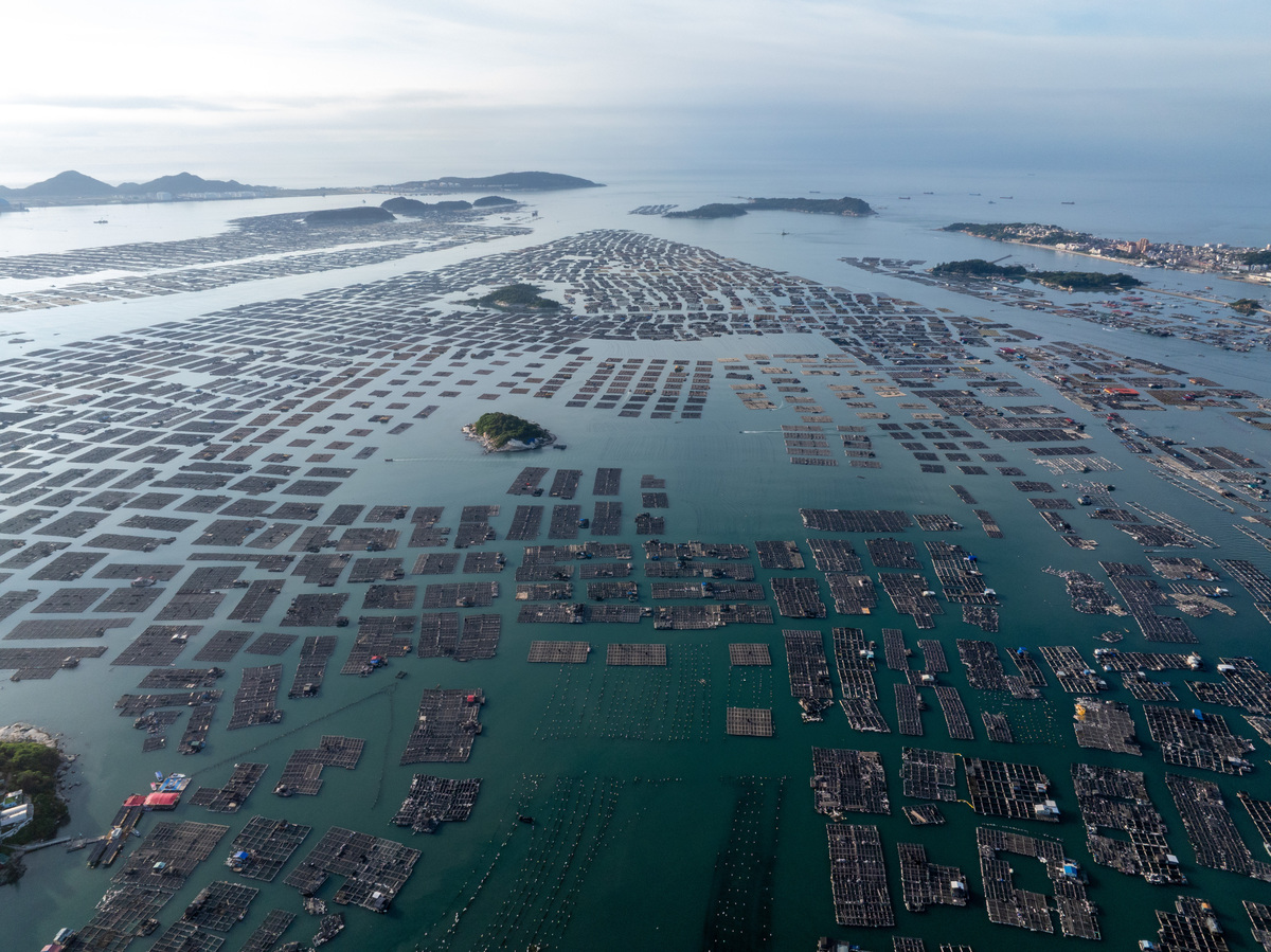 象山岛礁修复：美丽蝶变，生态重建