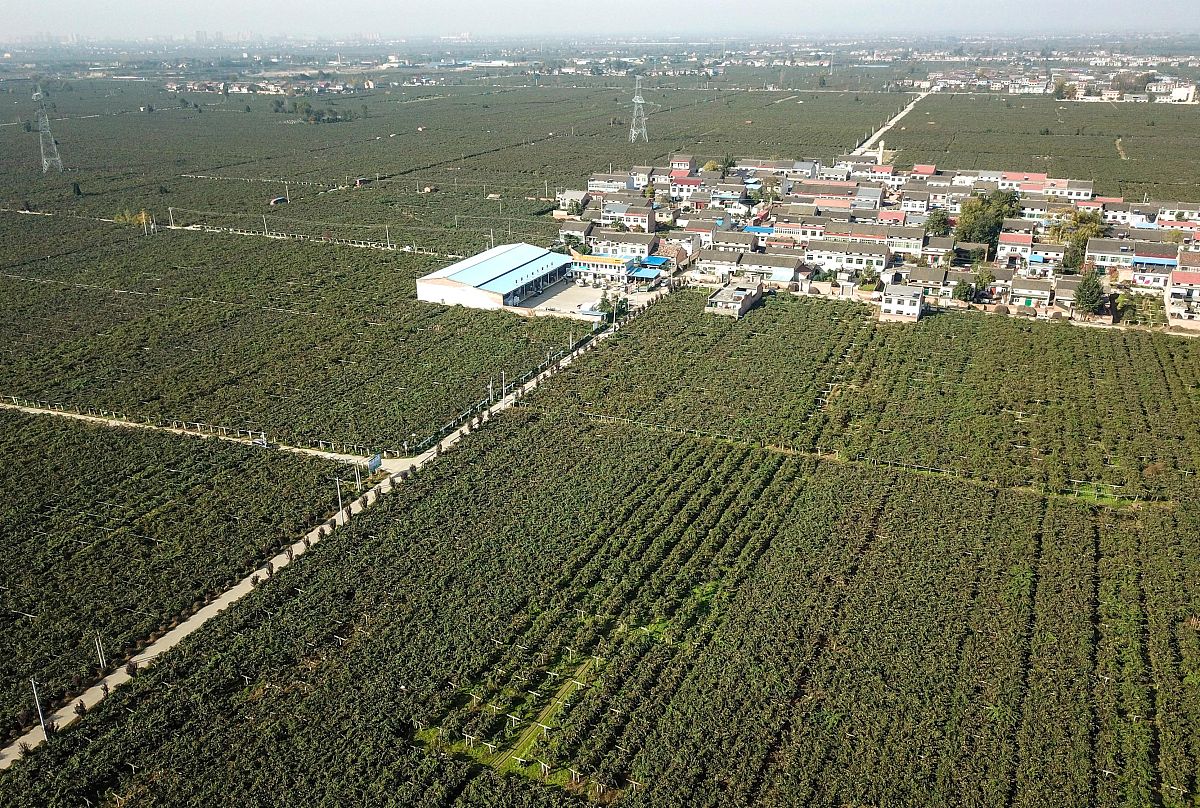 云南省曲靖市农业学校2019年五年制专业计划 - 培养未来农业人才