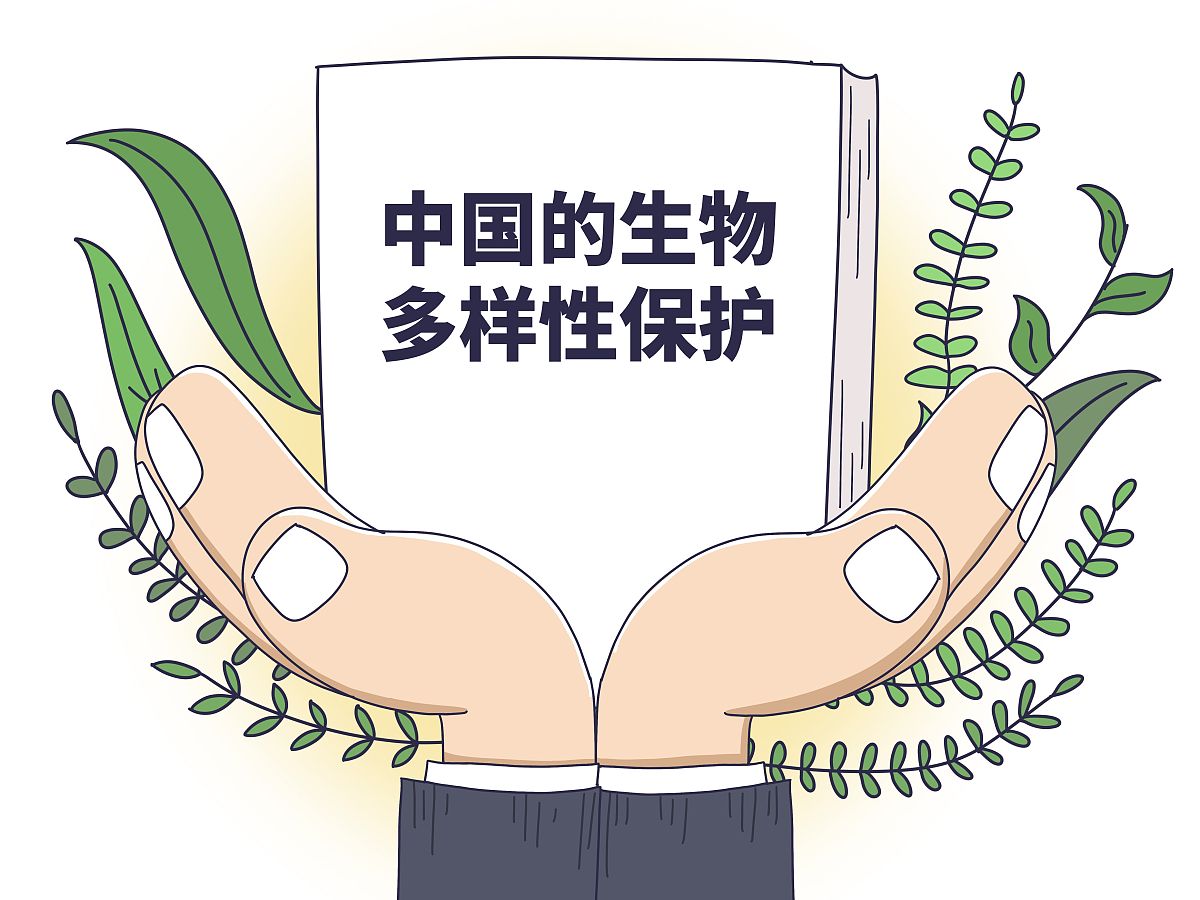 什么叫生物多样性