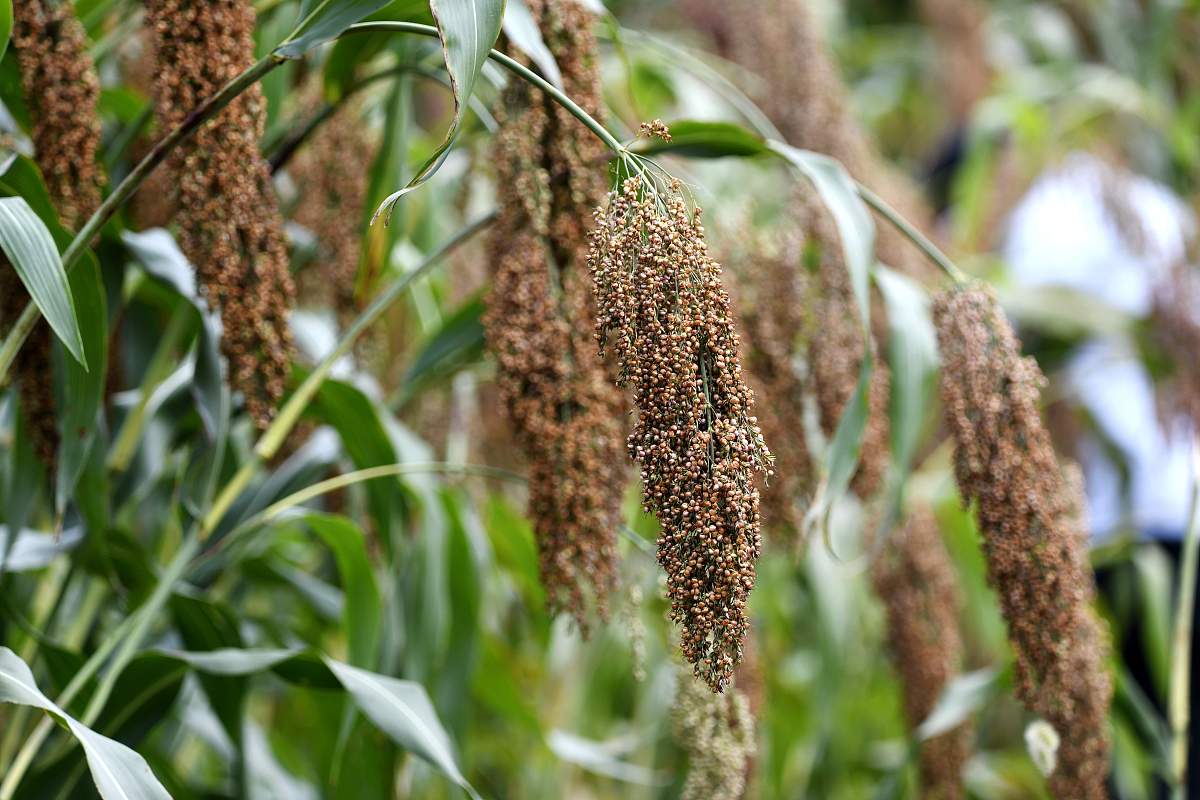 黔西南哪个中专学校好