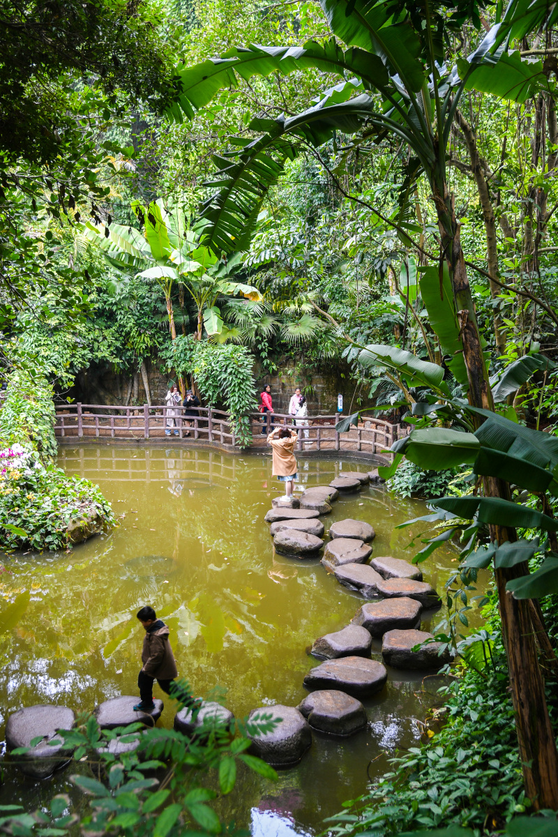 黄埔丹水坑风景区(自然风光与历史传承的完美结合)