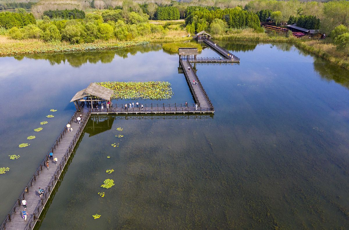 泰兴虹桥长江生态湿地公园