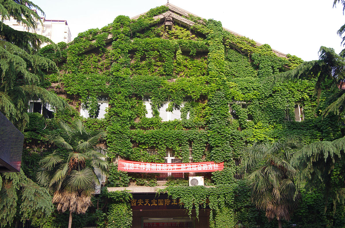 闽东卫生学校怎么样？好不好就业呢？