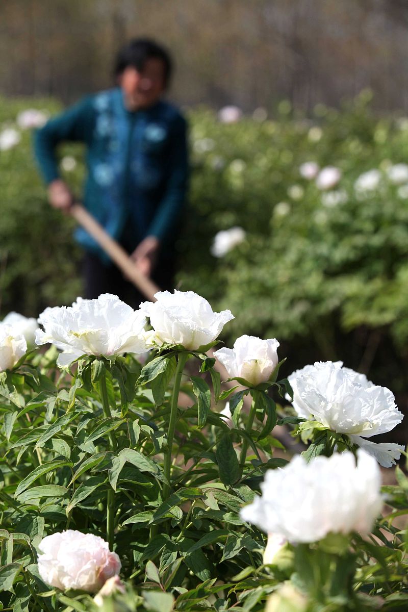 吉林媒体电话：搭建新闻线索高速路，打造信息直通车