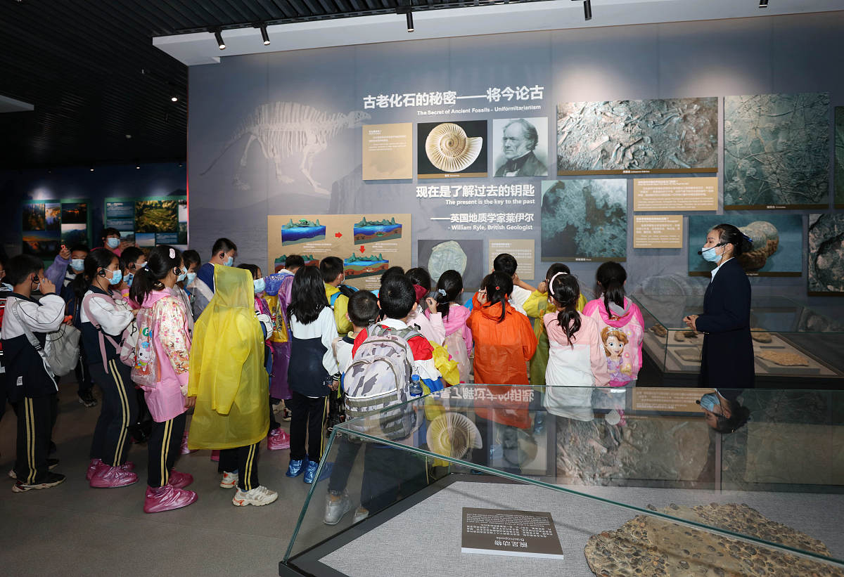 2天游学方案：沉浸式体验当地文化与科技