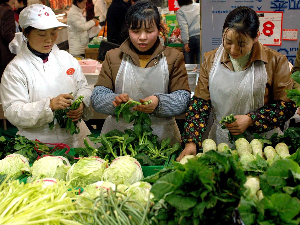 2005年2月2日,重庆市一个大型超市中,居民采购绿色蔬菜.+++_+++居民收