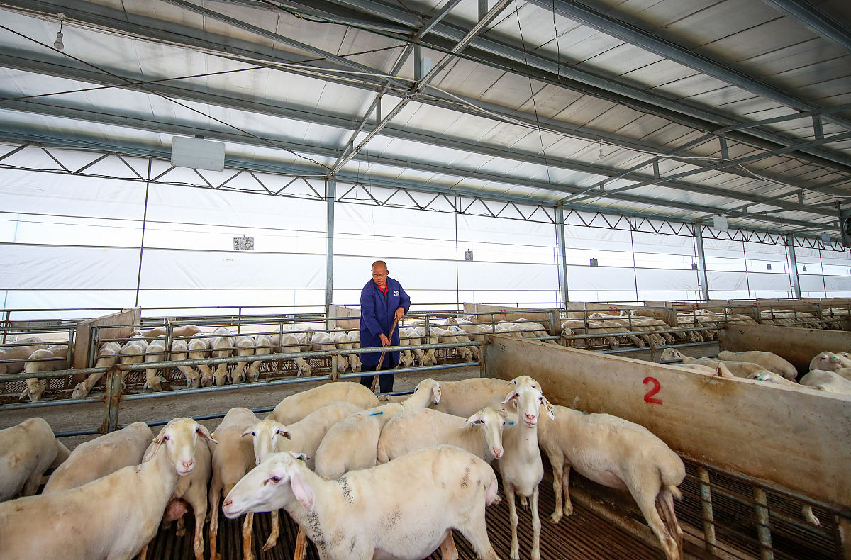 山西畜牧兽医学校2023年有哪些专业