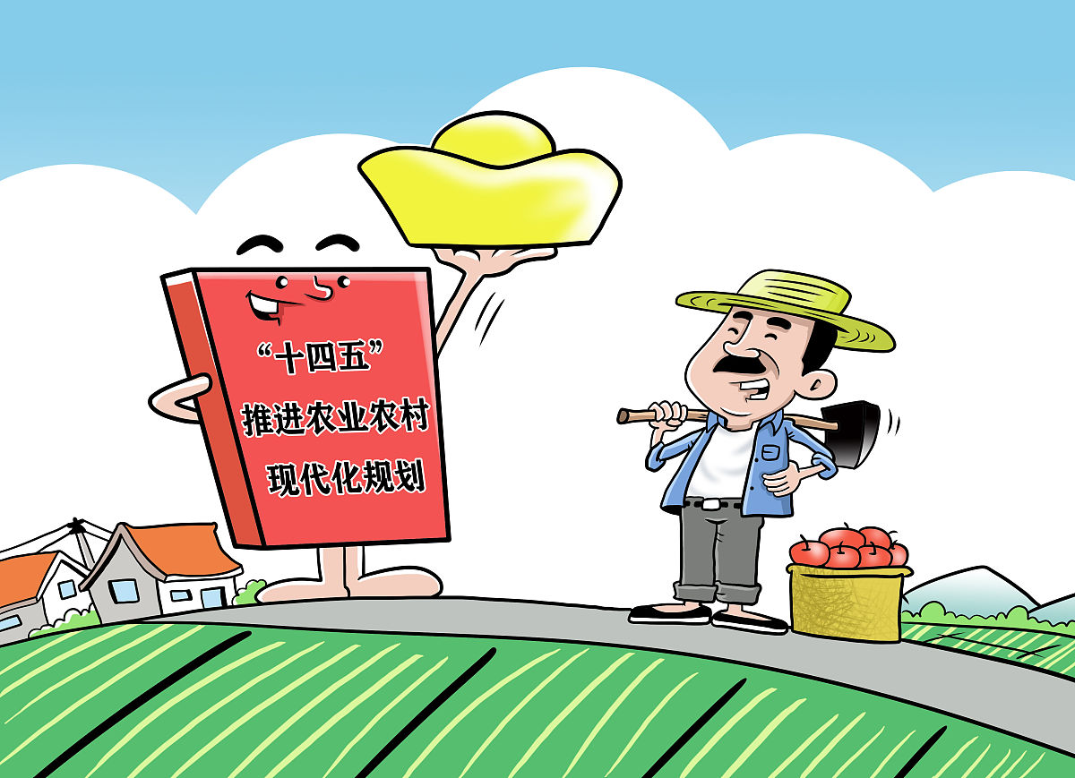 中国乡土社会的特点、挑战与振兴之路 中国乡土社会的特点、挑战与振兴之路